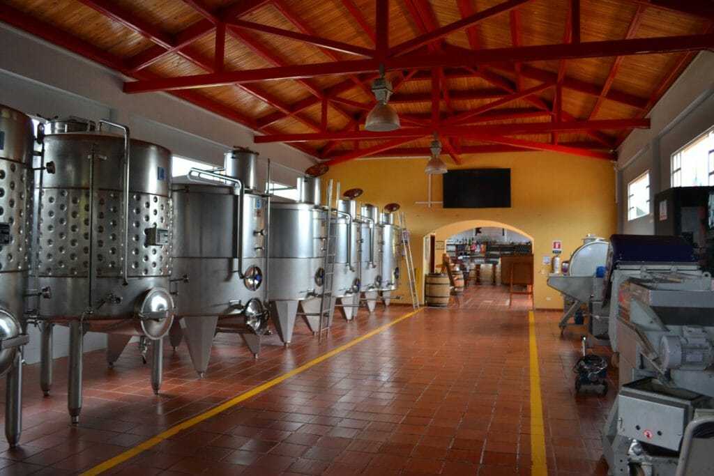 Weinproduktion
