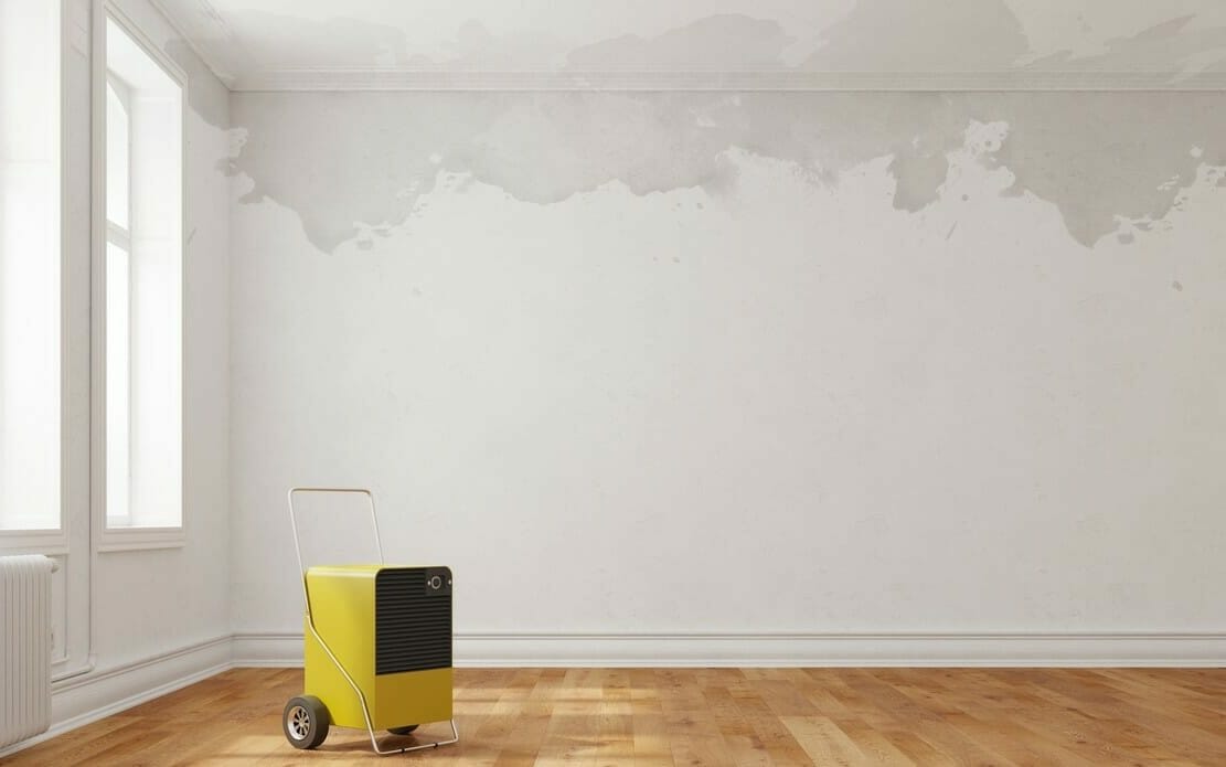 Putz schnell zum Trocknen bringen alle Tipps und Tricks