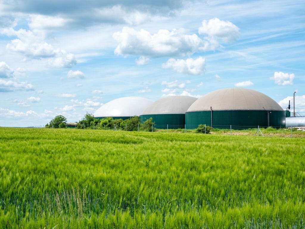 Biogasanlage mit drei Fermentern neben einem gruenen Getreidefeld vor blauem Himmel
