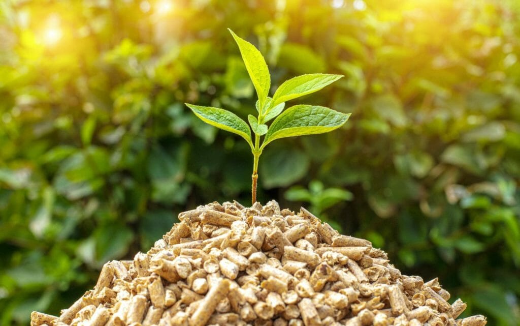 Pellets mit Pflanze für mobile Pelletheizung