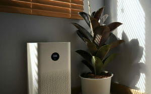 Render eine mobilen Split-Klimageraets in Raum neben Pflanze
