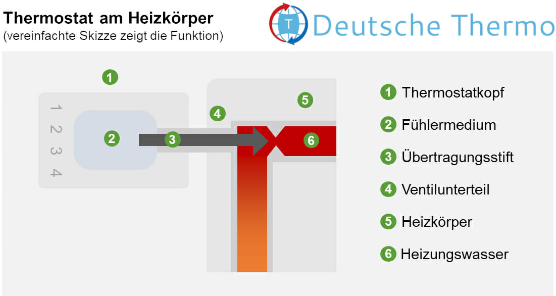 Wie Funktioniert Ein Thermostat An Der Heizung www.deutsche-thermo.de