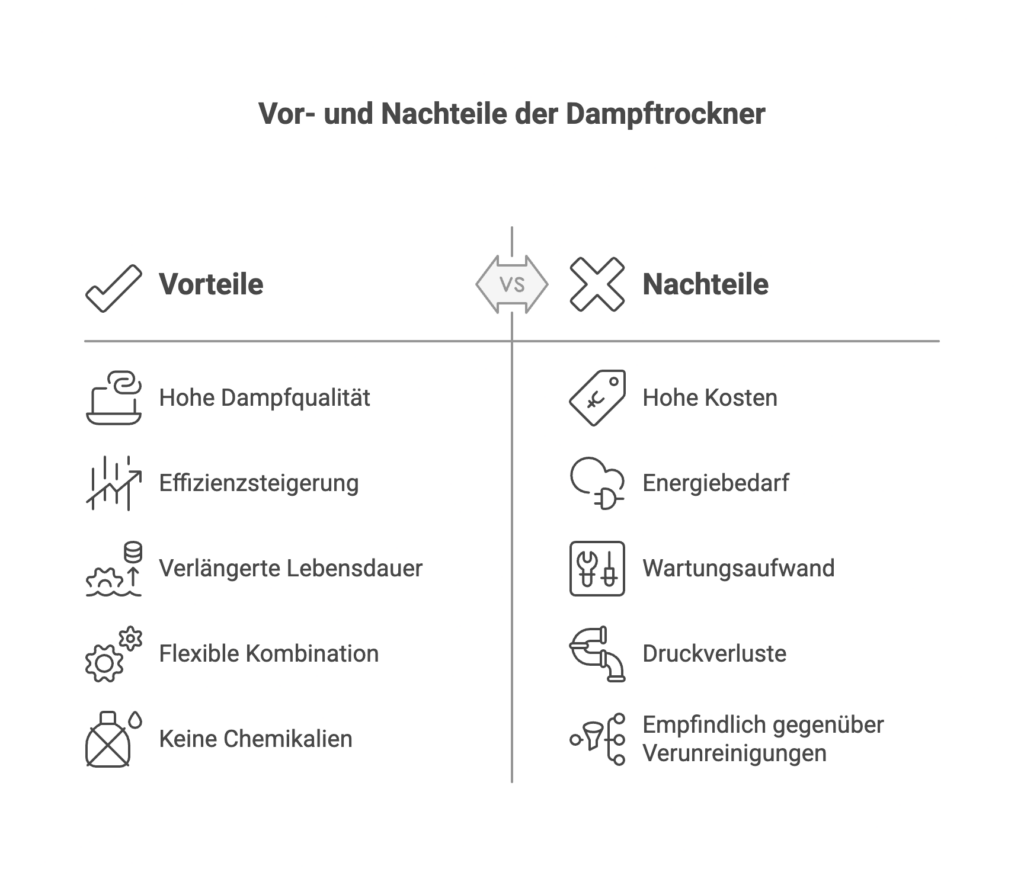 Infografik zeigt Vorteile und Nachteile der Dampftrockner